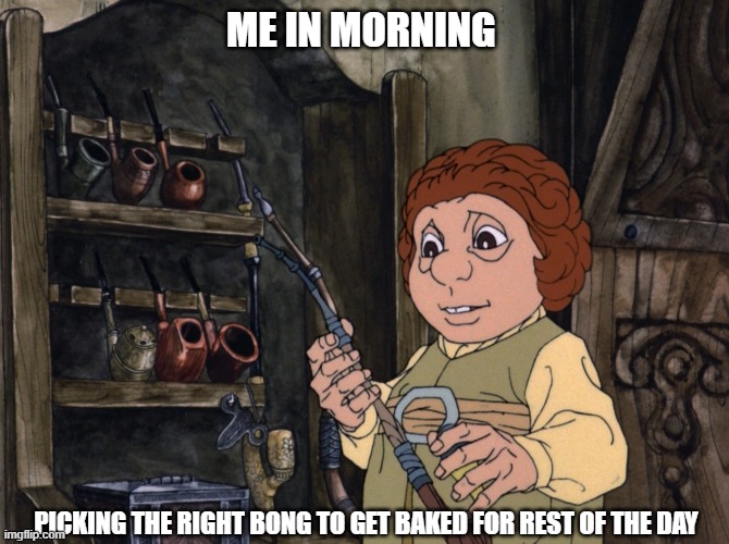 Hard life of a stoner | ME IN MORNING; PICKING THE RIGHT BONG TO GET BAKED FOR REST OF THE DAY | image tagged in stoned,weed,smoke weed everyday,hobbit,lotr | made w/ Imgflip meme maker