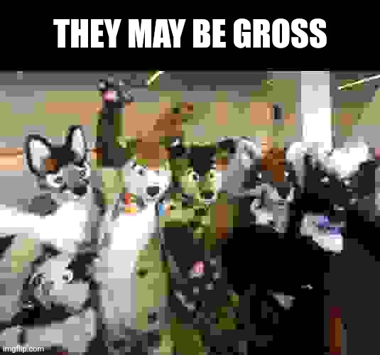 They may be gross | THEY MAY BE GROSS | image tagged in furries | made w/ Imgflip meme maker