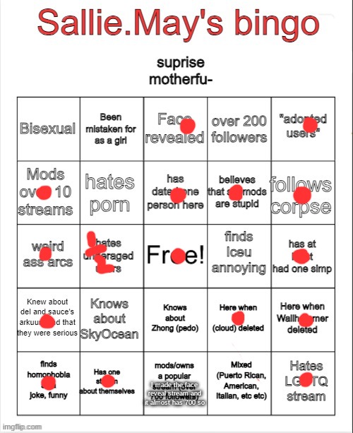 Sallie.May's bingo | I made the face reveal stream and it almost has 700 so | image tagged in sallie may's bingo | made w/ Imgflip meme maker