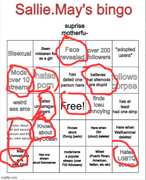 Sallie.May's bingo | image tagged in sallie may's bingo | made w/ Imgflip meme maker