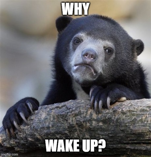 Confession Bear | WHY; WAKE UP? | image tagged in memes,confession bear | made w/ Imgflip meme maker