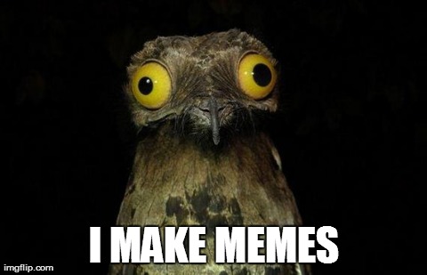 Weird Stuff I Do Potoo | I MAKE MEMES | image tagged in memes,weird stuff i do potoo | made w/ Imgflip meme maker