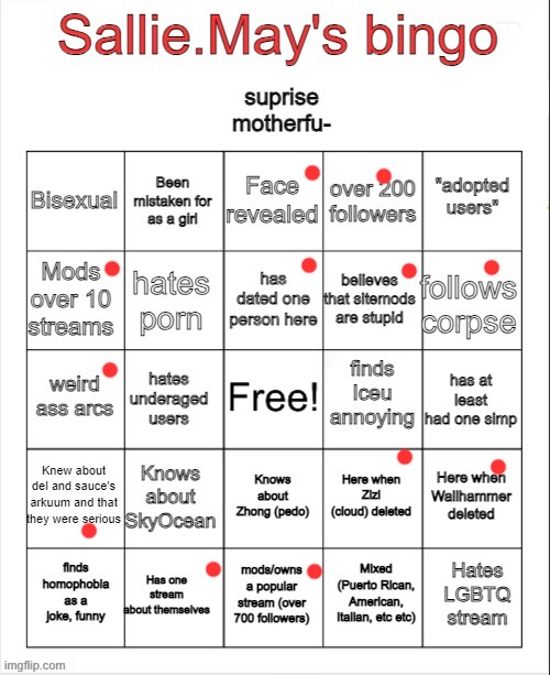 Sallie.May's bingo | image tagged in sallie may's bingo | made w/ Imgflip meme maker