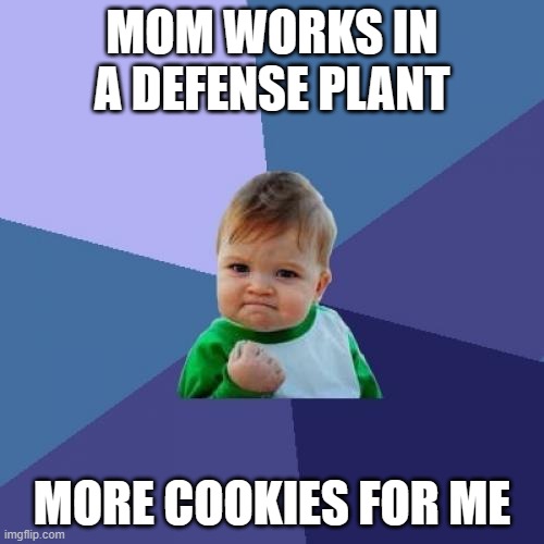 Success Kid Meme | MOM WORKS IN A DEFENSE PLANT; MORE COOKIES FOR ME | image tagged in memes,success kid | made w/ Imgflip meme maker