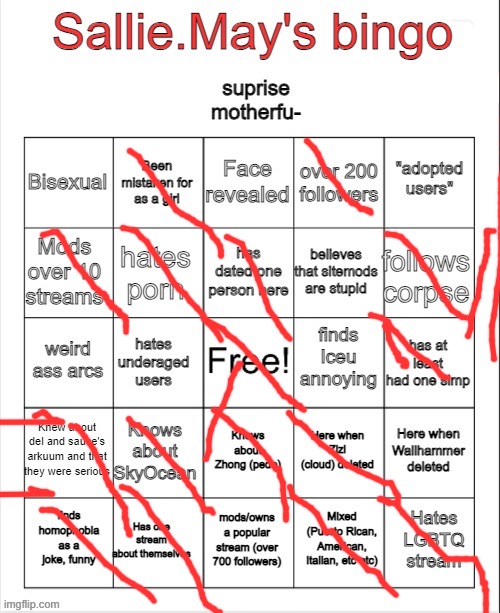 Sallie.May's bingo | image tagged in sallie may's bingo | made w/ Imgflip meme maker