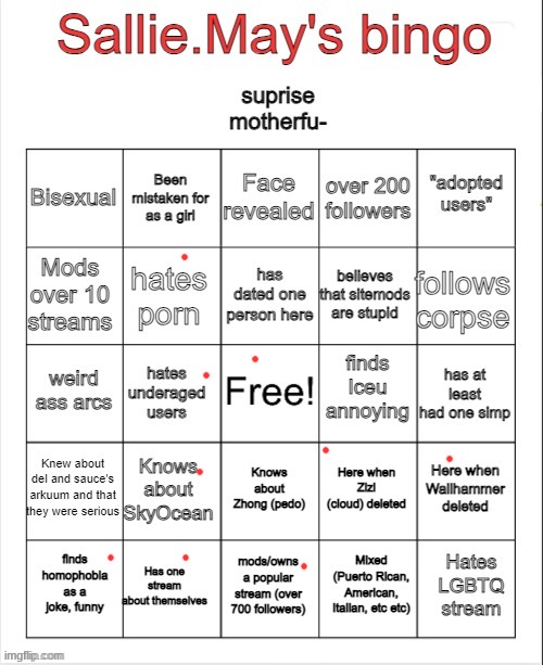 Sallie.May's bingo | image tagged in sallie may's bingo | made w/ Imgflip meme maker