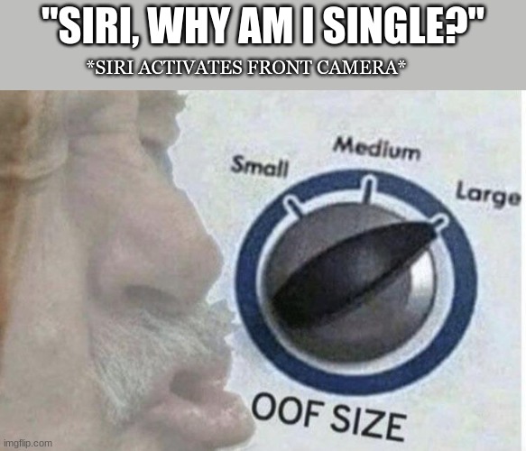 dang Siri I didn't know you were like that | "SIRI, WHY AM I SINGLE?"; *SIRI ACTIVATES FRONT CAMERA* | image tagged in oof size large,siri,roast,roasted,damnnnn you got roasted,roasts | made w/ Imgflip meme maker