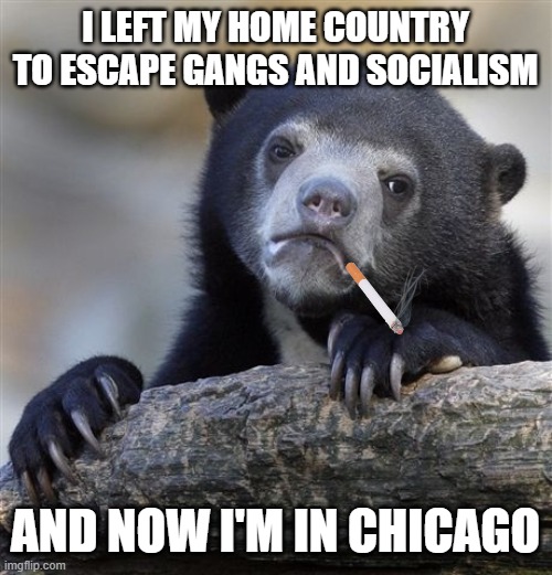 Confession Bear Meme | I LEFT MY HOME COUNTRY TO ESCAPE GANGS AND SOCIALISM; AND NOW I'M IN CHICAGO | image tagged in memes,confession bear | made w/ Imgflip meme maker
