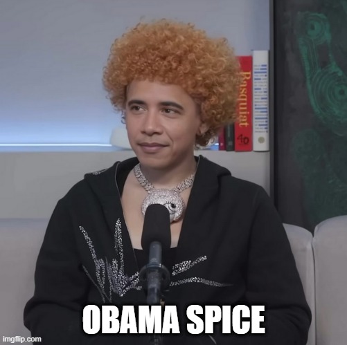 No, Just No | OBAMA SPICE | image tagged in unsee juice | made w/ Imgflip meme maker