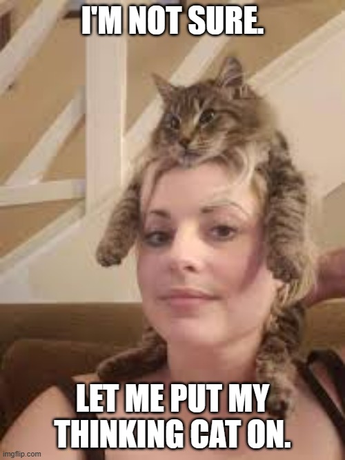 meme by Brad put on my thinking cap | I'M NOT SURE. LET ME PUT MY THINKING CAT ON. | image tagged in funny cat memes | made w/ Imgflip meme maker