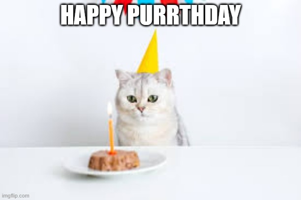 meme by Brad Happy Purrthday cat | HAPPY PURRTHDAY | image tagged in funny cat memes | made w/ Imgflip meme maker