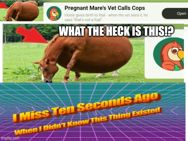 WHAT THE HECK IS THIS!? | image tagged in i miss ten seconds ago,cursed image,oh wow are you actually reading these tags | made w/ Imgflip meme maker