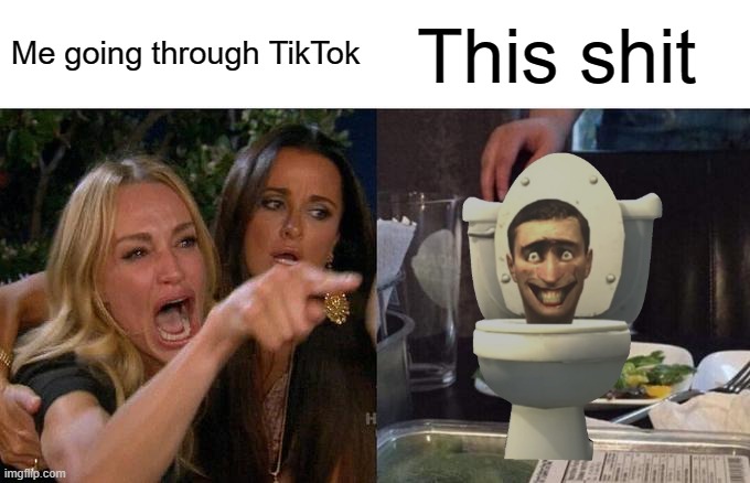 Woman Yelling At Cat | Me going through TikTok; This shit | image tagged in memes,woman yelling at cat | made w/ Imgflip meme maker