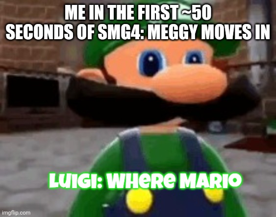 Btw I use the luckiest guy Google font to make the SMG4-style subtitles | ME IN THE FIRST ~50 SECONDS OF SMG4: MEGGY MOVES IN; Luigi: Where Mario | image tagged in where mario | made w/ Imgflip meme maker