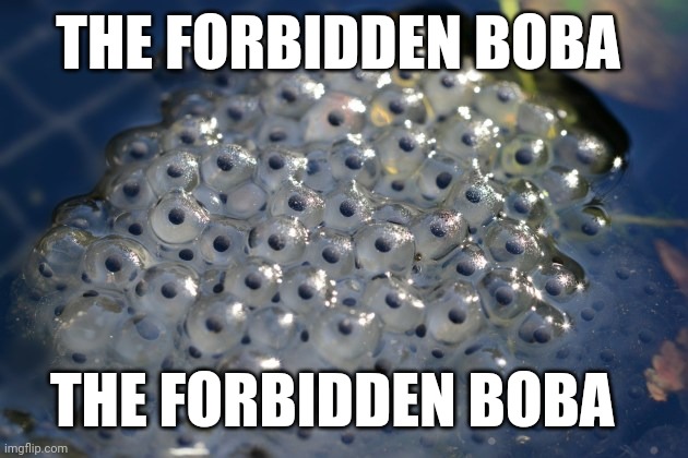 THE FORBIDDEN BOBA; THE FORBIDDEN BOBA | made w/ Imgflip meme maker