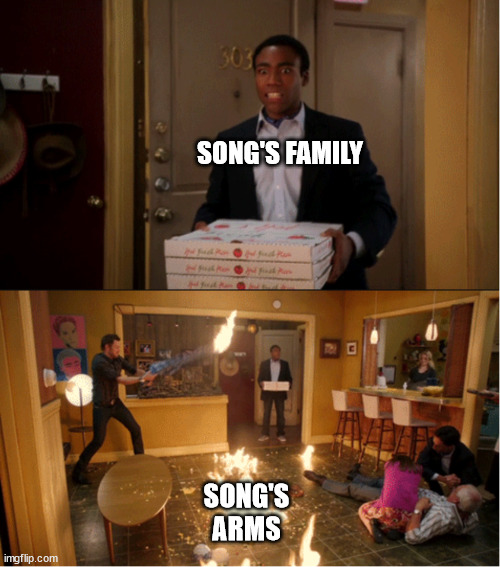 Community Fire Pizza Meme | SONG'S FAMILY; SONG'S ARMS | image tagged in community fire pizza meme | made w/ Imgflip meme maker