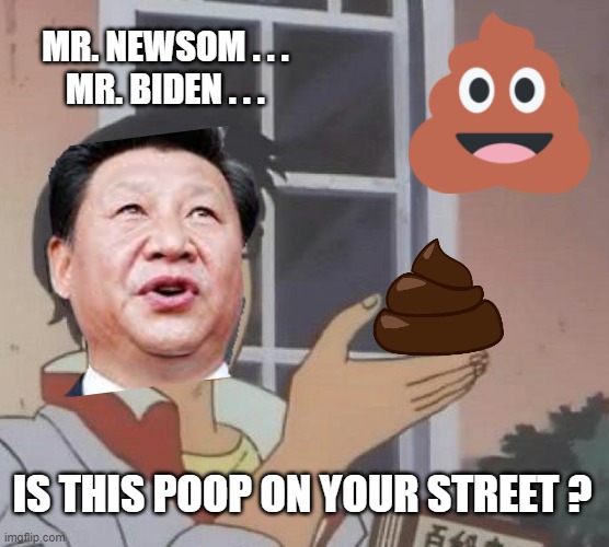 Free Souvenir from San Francisco | MR. NEWSOM . . . 
MR. BIDEN . . . IS THIS POOP ON YOUR STREET ? | image tagged in is this a pigeon,leftists,liberals,xi,biden,san francisco | made w/ Imgflip meme maker