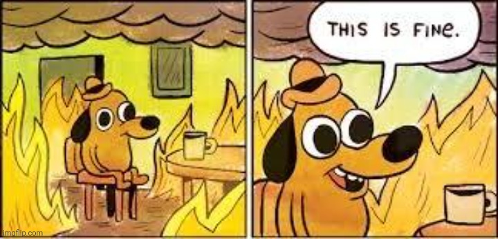 This Is Fine | image tagged in this is fine | made w/ Imgflip meme maker