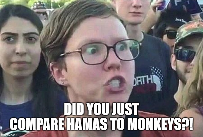 Triggered Liberal | DID YOU JUST COMPARE HAMAS TO MONKEYS?! | image tagged in triggered liberal | made w/ Imgflip meme maker