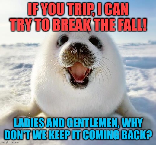 The Happy Seal | IF YOU TRIP, I CAN TRY TO BREAK THE FALL! LADIES AND GENTLEMEN, WHY DON'T WE KEEP IT COMING BACK? | image tagged in the happy seal | made w/ Imgflip meme maker