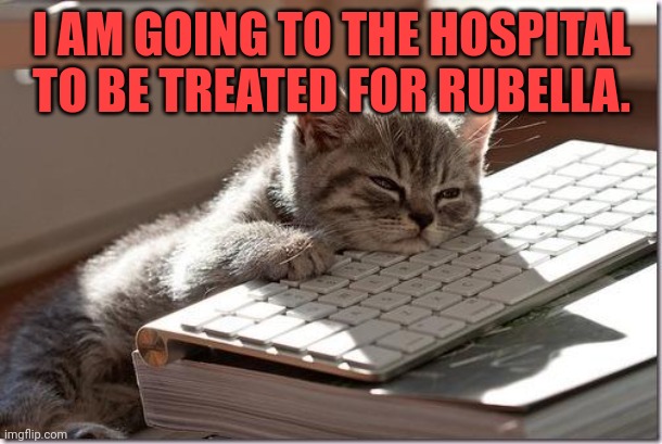 Bored Keyboard Cat | I AM GOING TO THE HOSPITAL TO BE TREATED FOR RUBELLA. | image tagged in bored keyboard cat | made w/ Imgflip meme maker