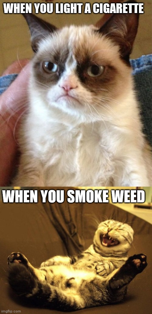 WHEN YOU LIGHT A CIGARETTE; WHEN YOU SMOKE WEED | image tagged in memes,grumpy cat,laughing cat | made w/ Imgflip meme maker