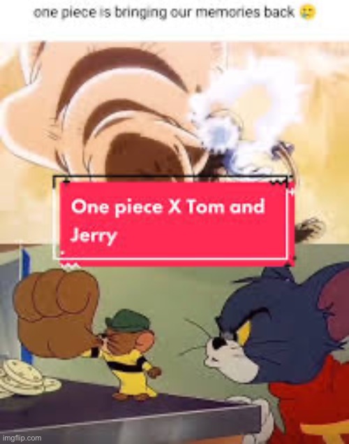 One piece Tom and jerry | image tagged in one piece tom and jerry | made w/ Imgflip meme maker