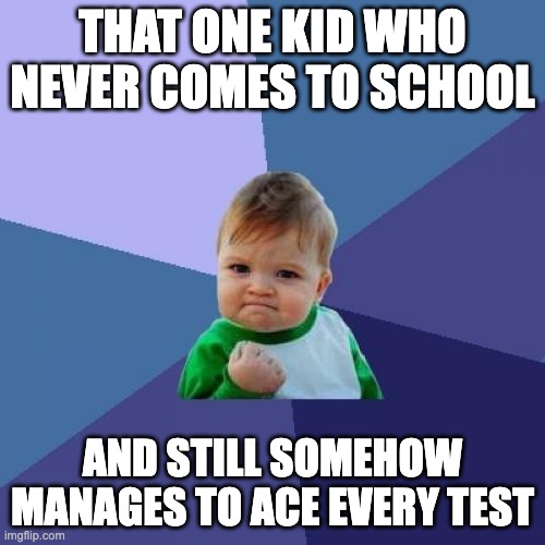 Success Kid | THAT ONE KID WHO NEVER COMES TO SCHOOL; AND STILL SOMEHOW MANAGES TO ACE EVERY TEST | image tagged in memes,success kid | made w/ Imgflip meme maker