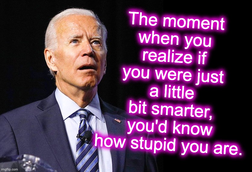 [warning: it's-all-just-in-fun satire] | The moment when you realize if you were just a little bit smarter, you'd know how stupid you are. | image tagged in joe biden,realization,when you realize,funny memes | made w/ Imgflip meme maker
