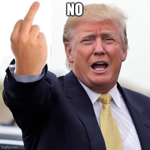 Donald Trump middle finger | NO | image tagged in donald trump middle finger | made w/ Imgflip meme maker