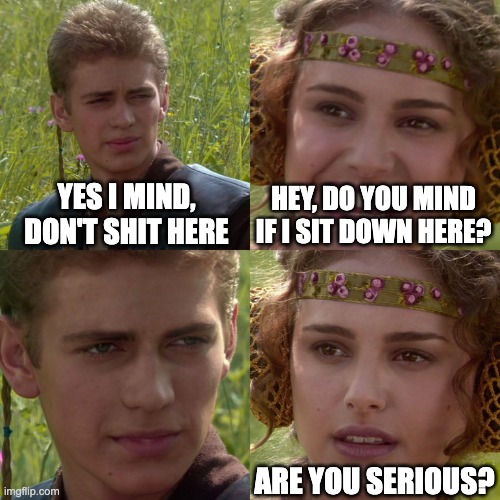 Can I sit here? | YES I MIND, DON'T SHIT HERE; HEY, DO YOU MIND IF I SIT DOWN HERE? ARE YOU SERIOUS? | image tagged in anakin padme 4 panel | made w/ Imgflip meme maker