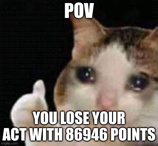 Totally couldn't be  me | POV; YOU LOSE YOUR ACT WITH 86946 POINTS | image tagged in approved crying cat | made w/ Imgflip meme maker