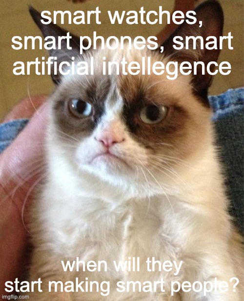 can we all agree that ai is much smarter than everyones brain cells combined? | smart watches, smart phones, smart artificial intellegence; when will they start making smart people? | image tagged in memes,grumpy cat | made w/ Imgflip meme maker