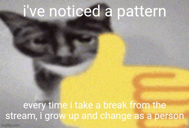 thumbs up cat | i've noticed a pattern; every time i take a break from the stream, i grow up and change as a person | image tagged in thumbs up cat | made w/ Imgflip meme maker