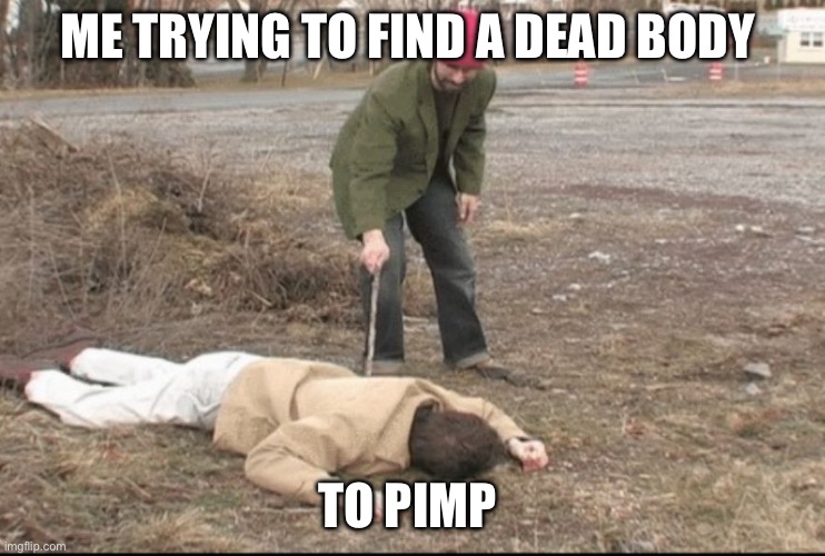 you dead ? | ME TRYING TO FIND A DEAD BODY; TO PIMP | image tagged in you dead | made w/ Imgflip meme maker