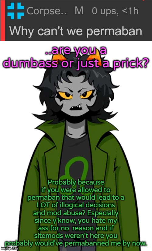 ..are you a dumbass or just a prick? Probably because if you were allowed to permaban that would lead to a LOT of illogical decisions and mod abuse? Especially since y'know, you hate my ass for no  reason and if sitemods weren't here you probably would've permabanned me by now. | made w/ Imgflip meme maker