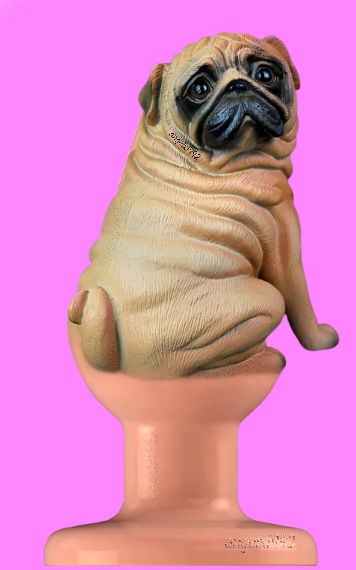 pug Blank Meme Template