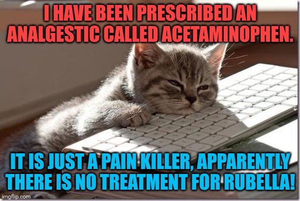 Bored Keyboard Cat | I HAVE BEEN PRESCRIBED AN ANALGESTIC CALLED ACETAMINOPHEN. IT IS JUST A PAIN KILLER, APPARENTLY THERE IS NO TREATMENT FOR RUBELLA! | image tagged in bored keyboard cat | made w/ Imgflip meme maker