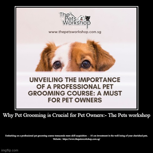 Why Pet Grooming is Crucial for Pet Owners The Pets Imgflip