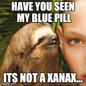 Whisper Sloth Meme | HAVE YOU SEEN MY BLUE PILL ITS NOT A XANAX... | image tagged in memes,whisper sloth | made w/ Imgflip meme maker