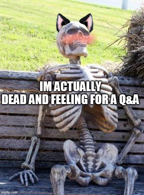 Waiting Skeleton Meme | IM ACTUALLY DEAD AND FEELING FOR A Q&A | image tagged in memes,waiting skeleton | made w/ Imgflip meme maker