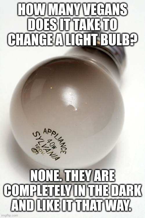 burnt out light bulb | HOW MANY VEGANS DOES IT TAKE TO CHANGE A LIGHT BULB? NONE. THEY ARE COMPLETELY IN THE DARK AND LIKE IT THAT WAY. | image tagged in burnt out light bulb | made w/ Imgflip meme maker