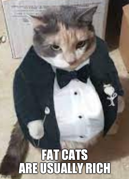 Fat cat in tuxedo | FAT CATS ARE USUALLY RICH | image tagged in fat cat in tuxedo | made w/ Imgflip meme maker