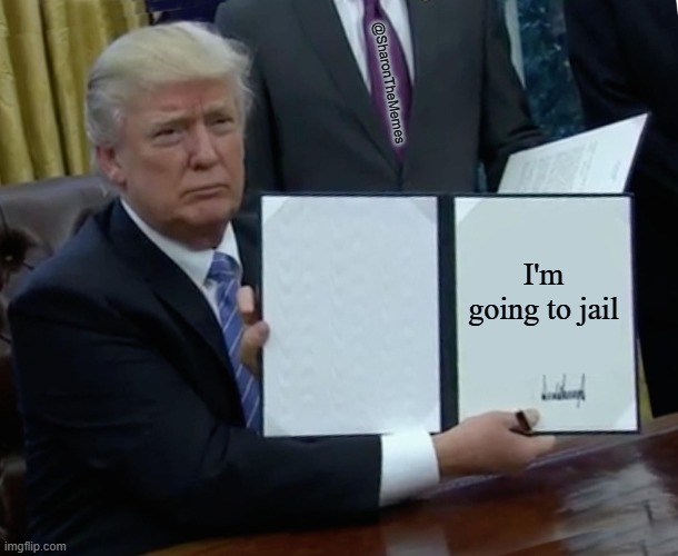 Jail For This Guy | @SharonTheMemes; I'm going to jail | image tagged in memes,trump bill signing | made w/ Imgflip meme maker