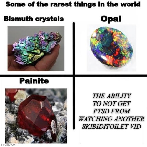Some of the rarest things in the world | THE ABILITY TO NOT GET PTSD FROM WATCHING ANOTHER SKIBIDITOILET VID | image tagged in some of the rarest things in the world | made w/ Imgflip meme maker