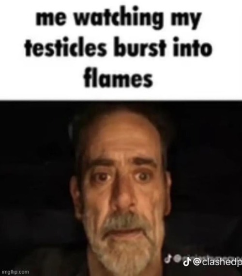 Me watching my testicles burst into flames | image tagged in me watching my testicles burst into flames | made w/ Imgflip meme maker