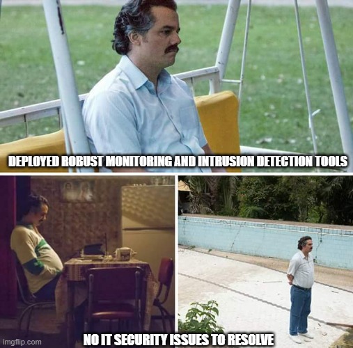 Sad Pablo Escobar Meme | DEPLOYED ROBUST MONITORING AND INTRUSION DETECTION TOOLS; NO IT SECURITY ISSUES TO RESOLVE | image tagged in memes,sad pablo escobar | made w/ Imgflip meme maker