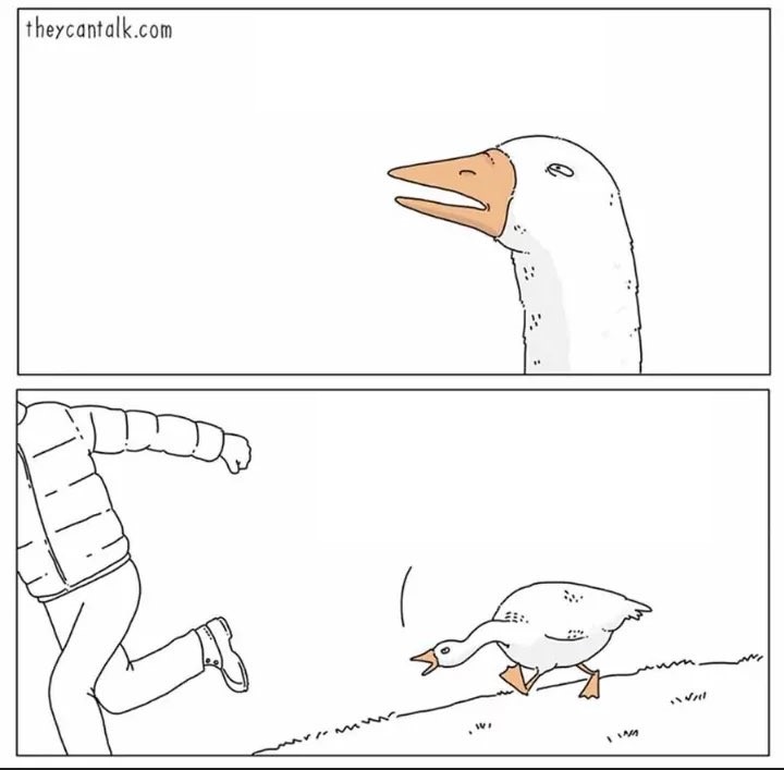 Inquisitive Duck Blank Meme Template