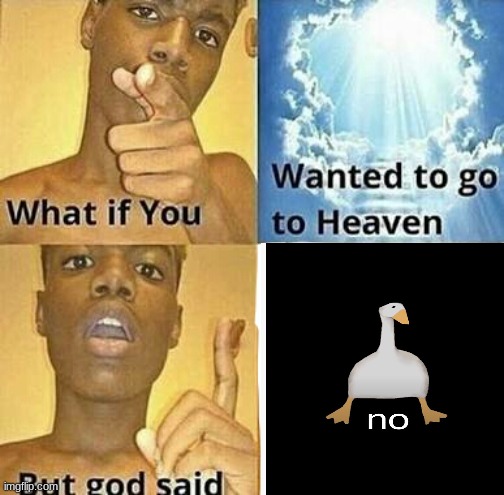 Duck | image tagged in what if you wanted to go to heaven,duck | made w/ Imgflip meme maker