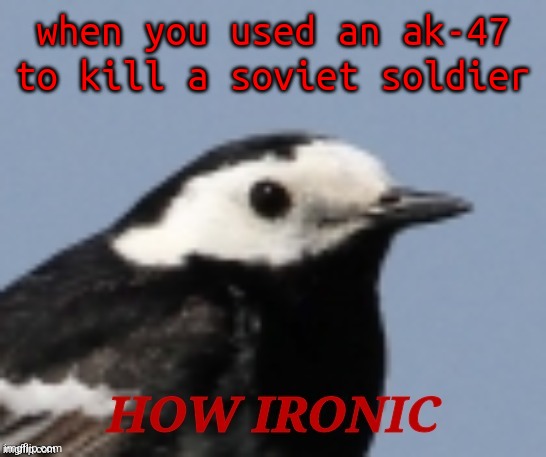 CCCP-47 | when you used an ak-47 to kill a soviet soldier | image tagged in how ironic,cccp,ussr,ak47 | made w/ Imgflip meme maker